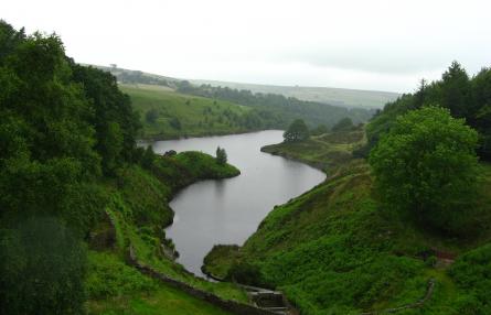 NATURAL RESERVOIR NATURAL RESERVOIR