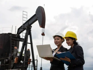 TRAINING OIL & GAS OPERATIONAL, FINANCIAL, IT AUDITING